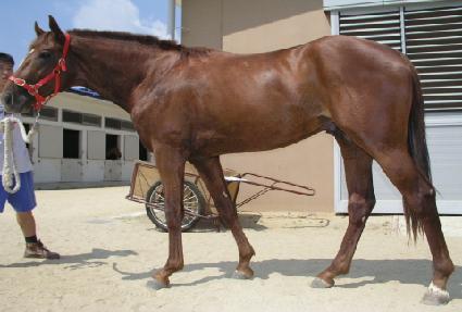 �λ꿵�� ����