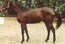 ����ְ� (DANGDAE CHOEGANG) ����