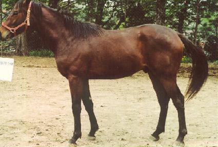 ����ְ� ����