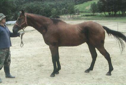 �ʽ½ô� ����