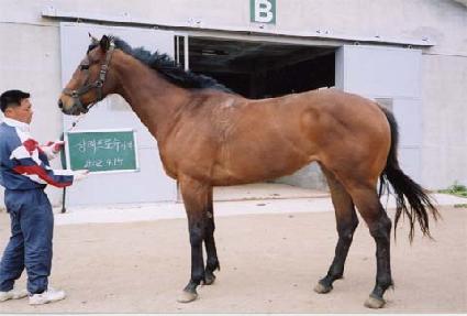 ���������� ����