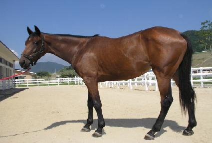 �λ�뱳 ����