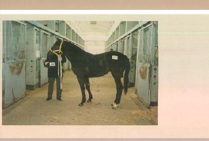 �´�� ����