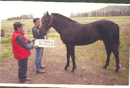 �ö��̺��� ����