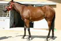 ������� (DANGDAEPYEONGJEONG) ����