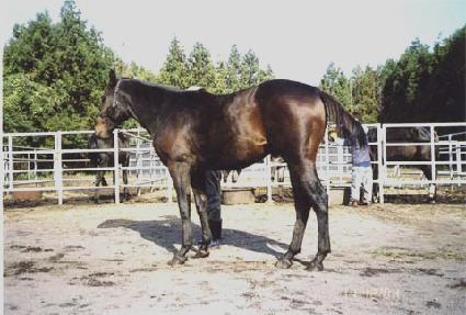 ���� ����