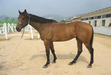 �볪�� ����