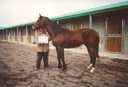 ȿ�� ����