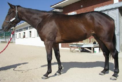 �ټ��� ����