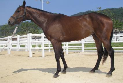 ���� ����