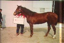 õ�Ͽ��� (CHEONHA YEOGEOL) ����