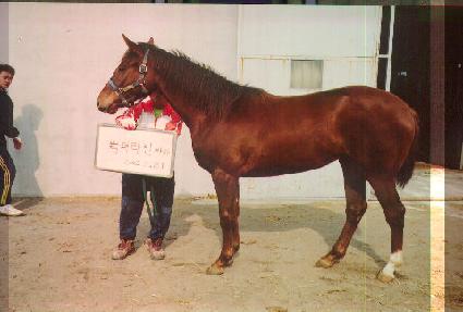 õ�Ͽ��� ����