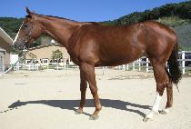 ����¡�� (JOEUN JINGJO) ����