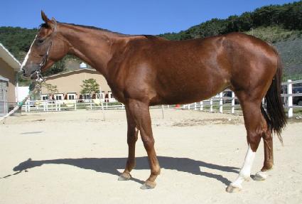 ����¡�� ����