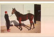 ��Ű���� (LUCKY SEVEN) ����