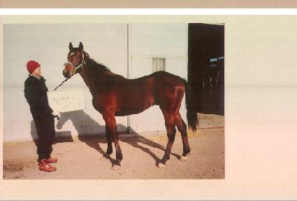 ��Ű���� ����