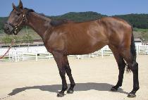 ���̳��ǳ��� (FINAL FINALE) ����