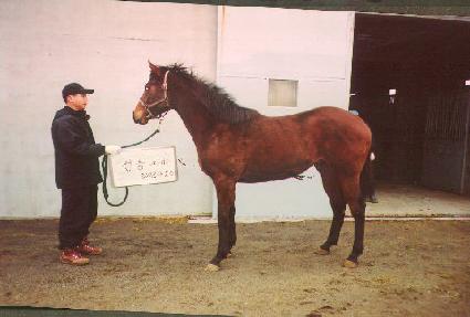 ū���� ����