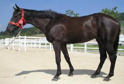 ��Ļ� ����