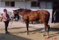 ��ũ�� (TECH IN) ����