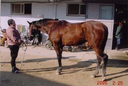 ��ũ�� ����