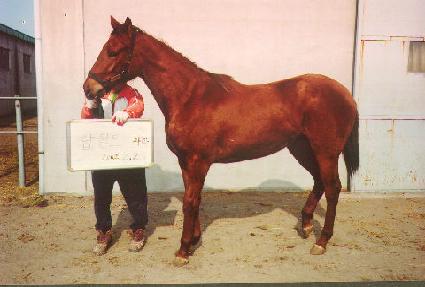 ưư���� ����