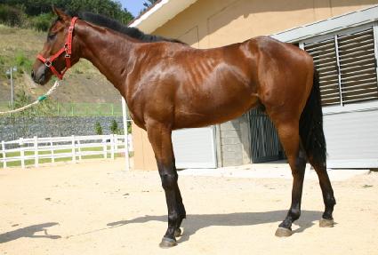 ���׹� ����