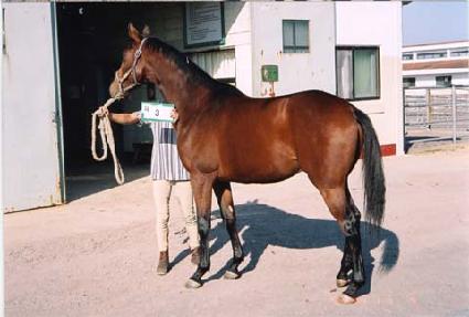 �ٸ�ī�� ����