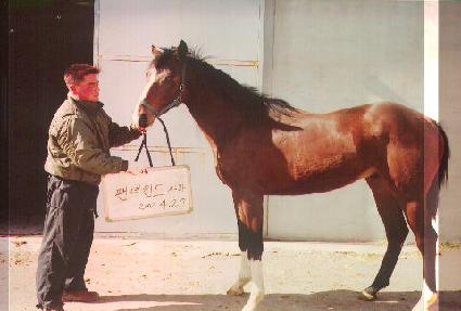 �۽�ƮĹ ����