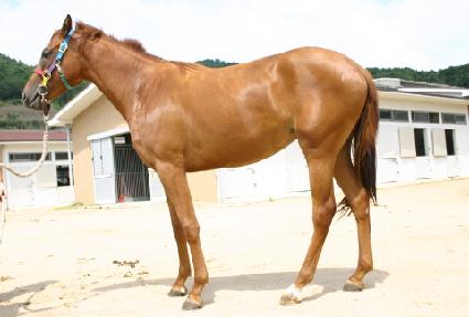 ���ſ� ����