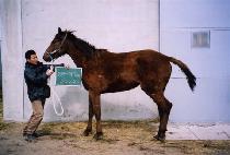 ��ũ�� (SUKEURYEONG) ����