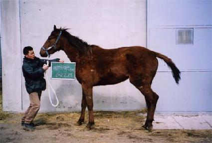 ��ũ�� ����