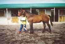 ���� (MANGEUM) ����