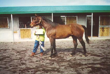 ���� ����