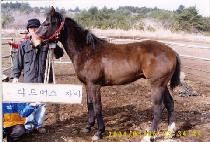 ����õ�� (YEONGUNG CHEONSA) ����