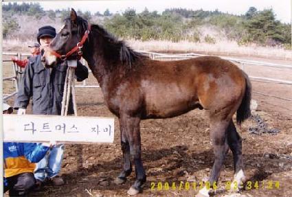 ����õ�� ����