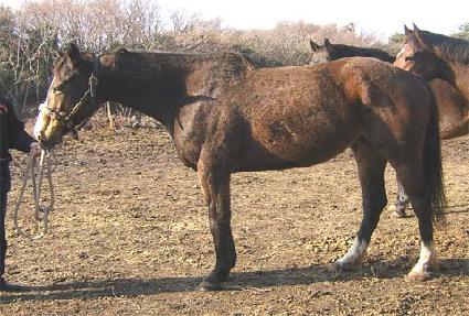 �������� ����