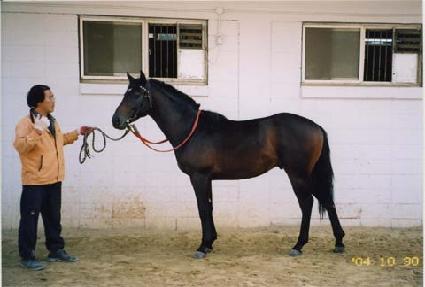 �������� ����