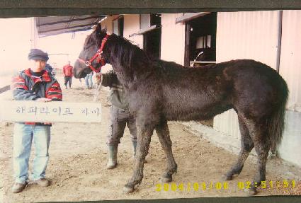 �¾��ǻ�¡ ����