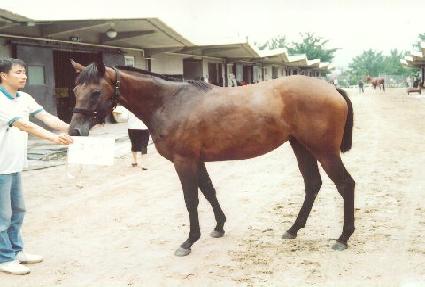 ������ ����