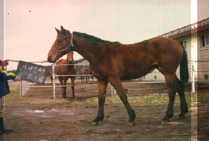 �������� ����