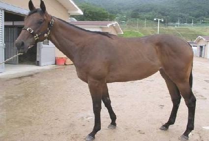 �缱�� ����