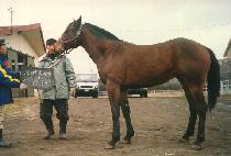 ���̸� (WANGIME) ����