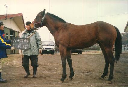 ���̸� ����