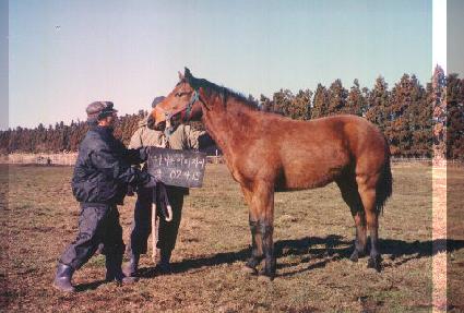 ��õ���� ����