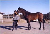 ���̽ô� (NAMCHON SIDAE) ����