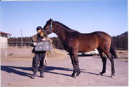 ���̽ô� ����