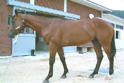 ��콺�� ����