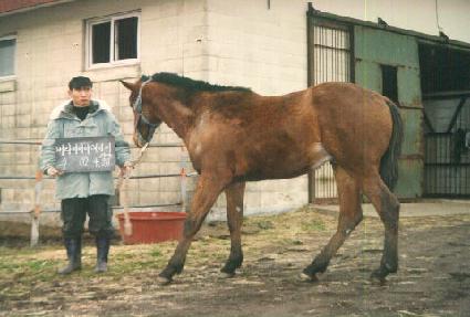 ȯ���޺� ����