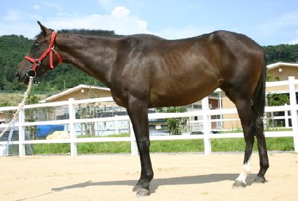 �ʰ��� ����